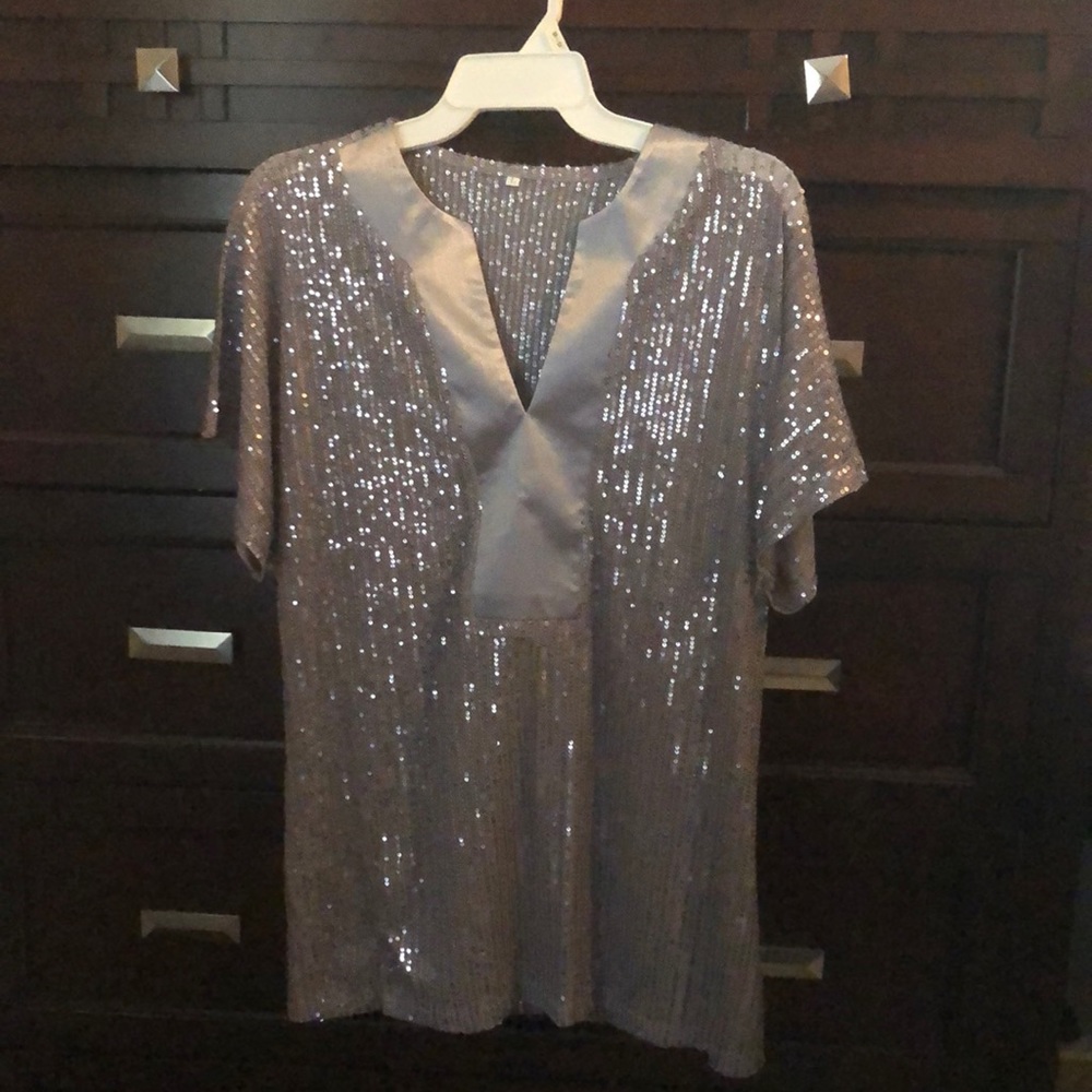 Silver Sheer Sequin Top